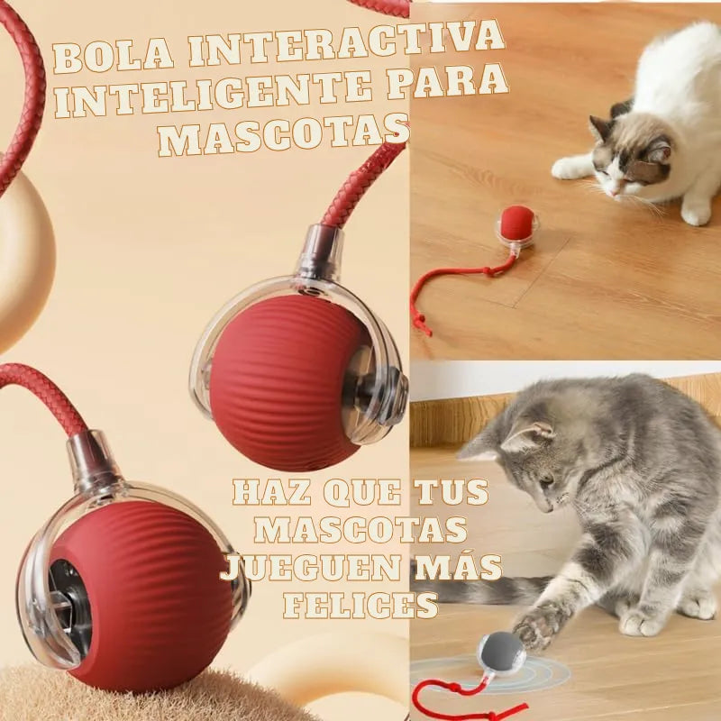 Pelota Turbo – ¡Elige tu pack y consigue más por menos!