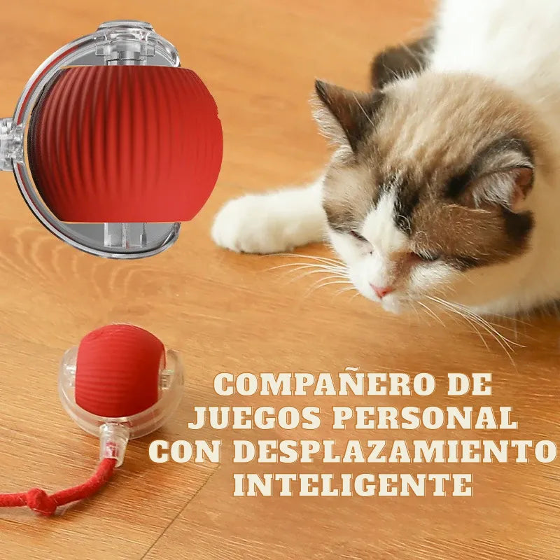 Pelota Turbo – ¡Elige tu pack y consigue más por menos!